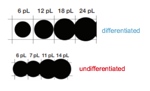 differentiated variable drop sizes offer finer grayscale control and greater apparent resolution
