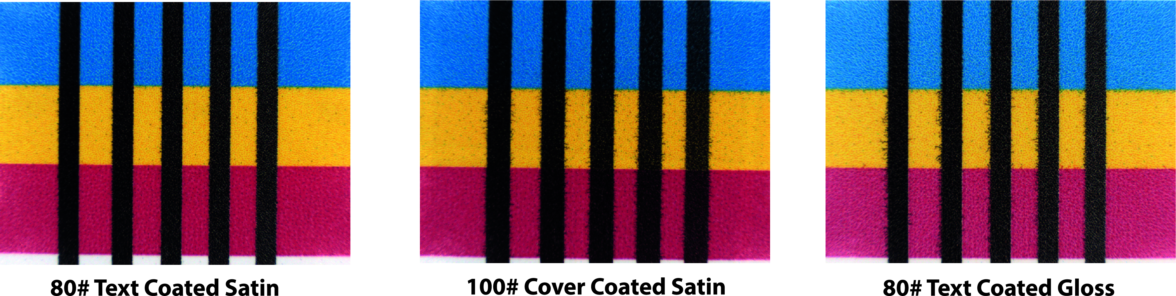 Featured image for “Combating Coated Paper”
