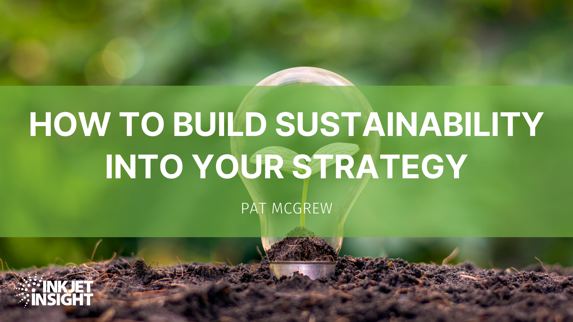Featured image for “How to Build Sustainability into Your Strategy – Part 2”