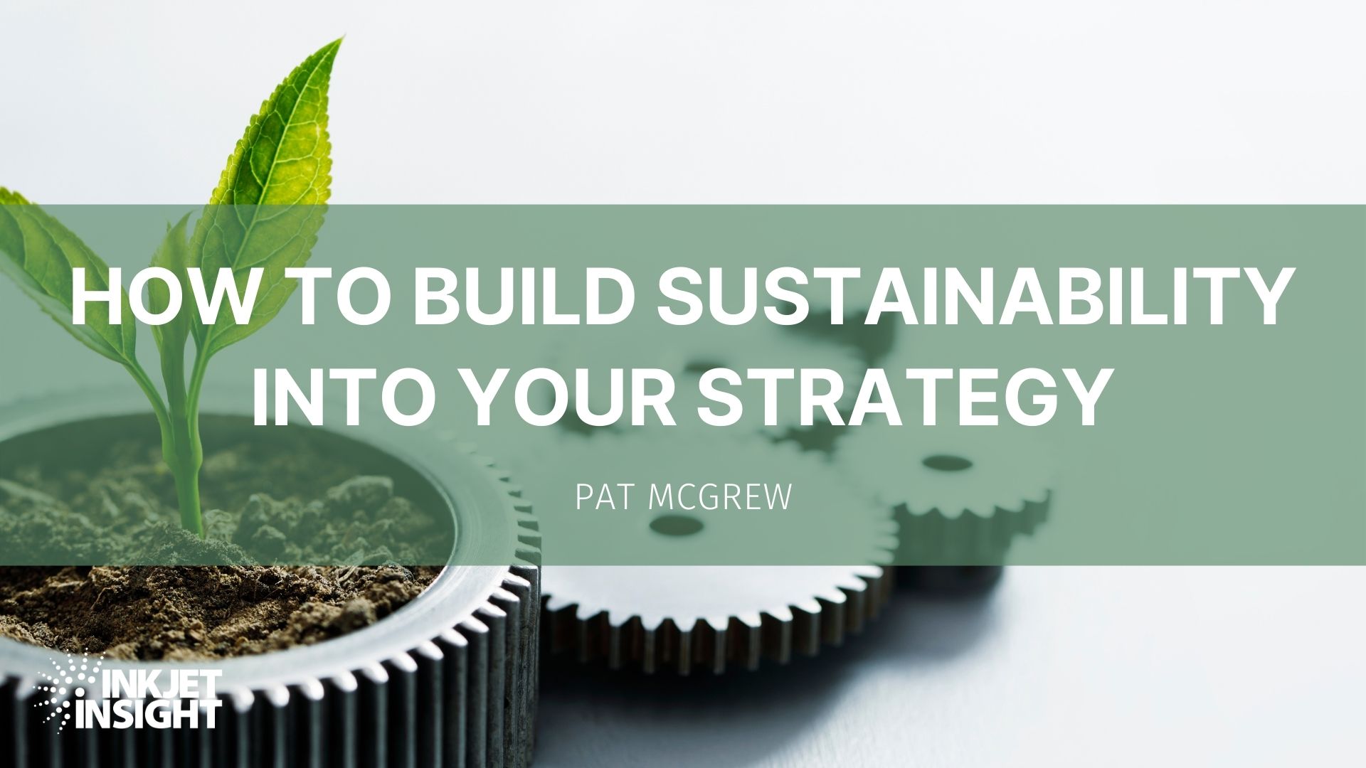 Featured image for “How to Build Sustainability into Your Strategy – Part 1”