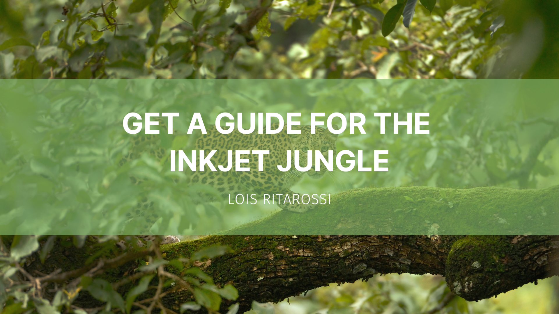 Featured image for “Get a guide for the inkjet jungle”